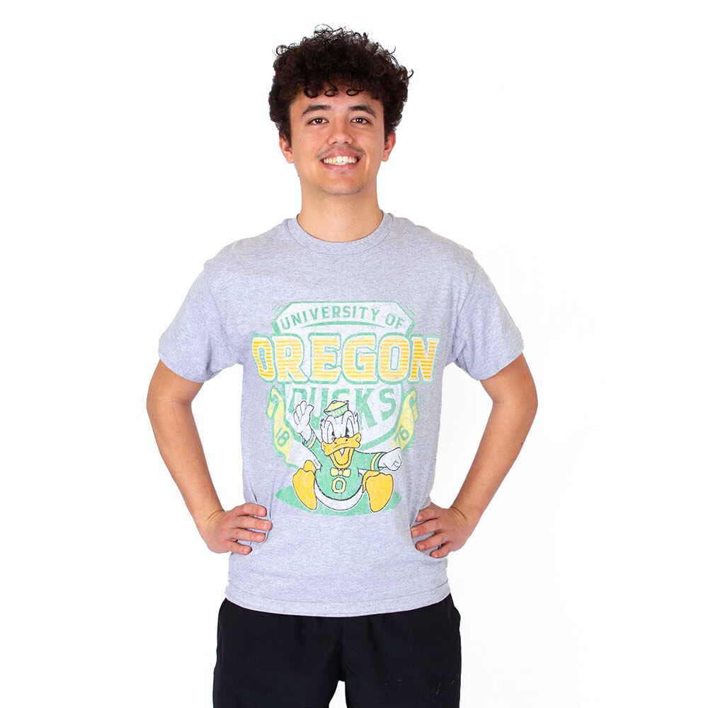 Charging Duck, Blue 84, Grey, Crew Neck, Cotton, Men, Unisex, Mill Dyed, 90's style, Badge, T-Shirt, 904692